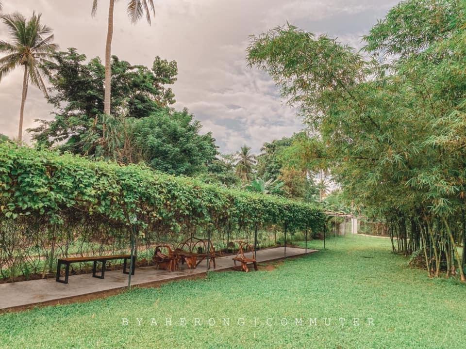 Dreamink Farm Og Myl'S Place Sorsogon ภายนอก รูปภาพ