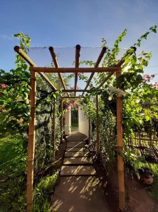 Dreamink Farm Og Myl'S Place Sorsogon ภายนอก รูปภาพ