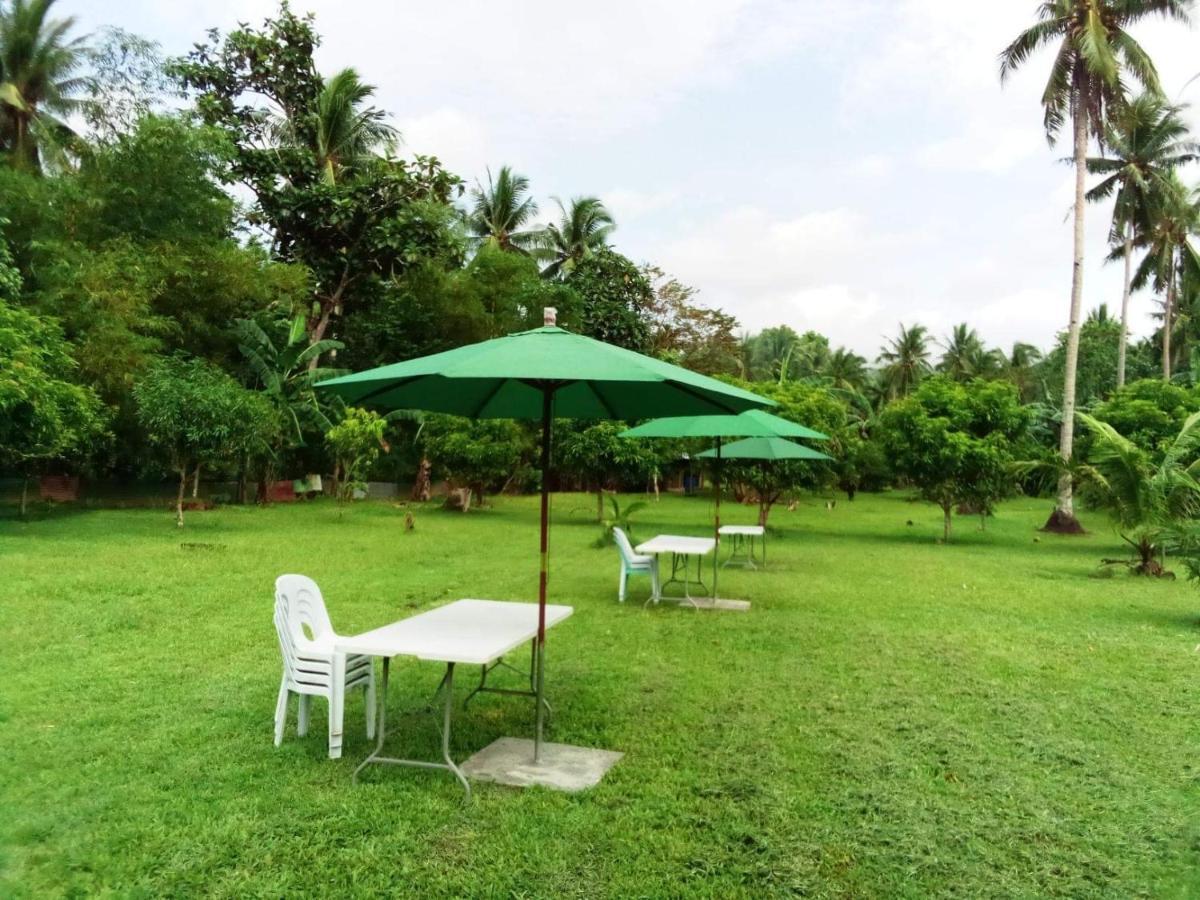 Dreamink Farm Og Myl'S Place Sorsogon ภายนอก รูปภาพ