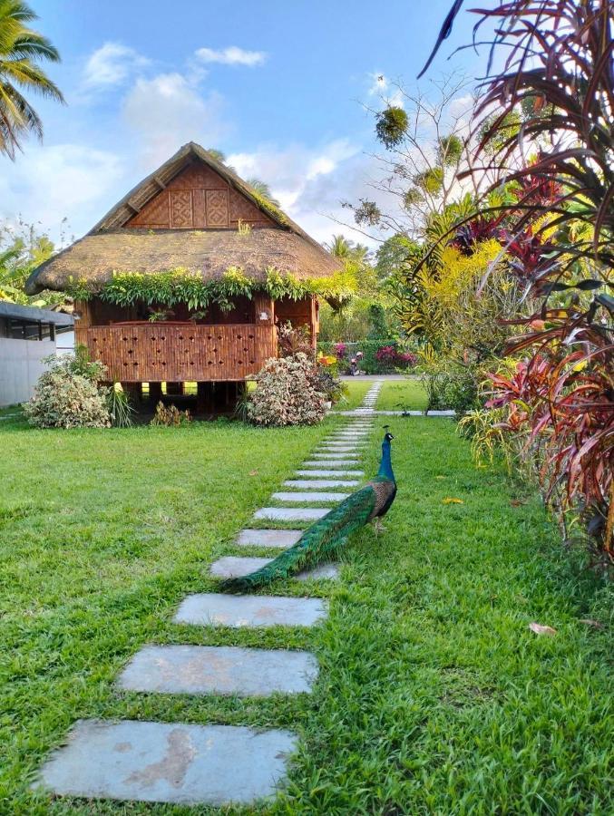 Dreamink Farm Og Myl'S Place Sorsogon ภายนอก รูปภาพ